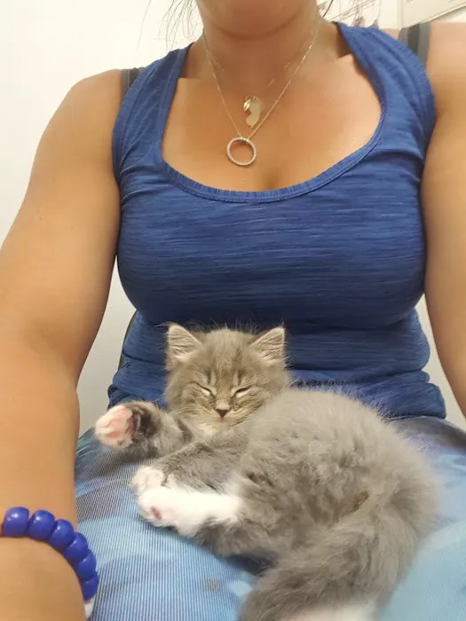 Jamesburg Veterinary Hospital Picture 2