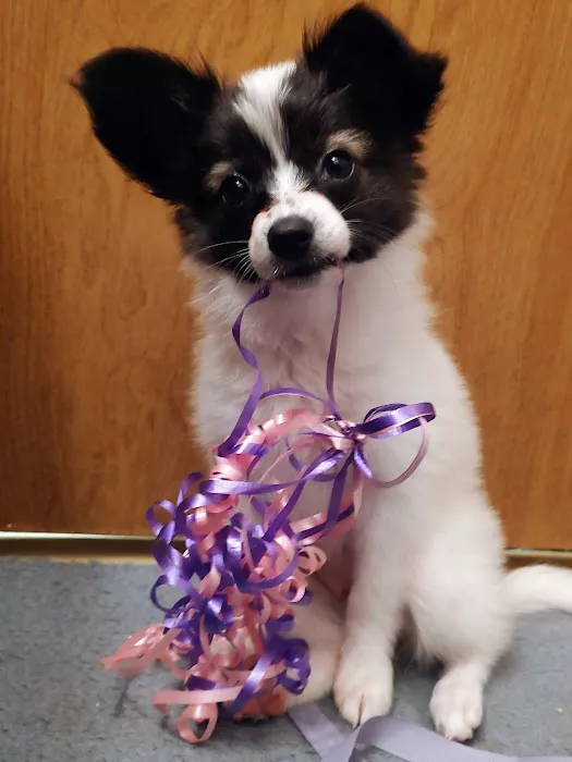 Jamesburg Veterinary Hospital Picture 9