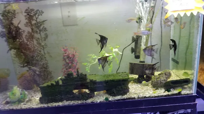 Alex's Advanced Aquatics Picture 2