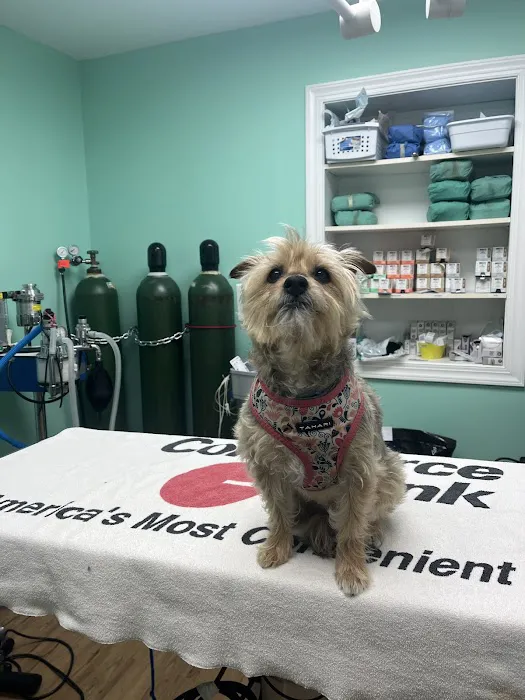Central Monmouth Animal Hospital : Neil Bloom DVM Picture 1