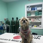 Central Monmouth Animal Hospital : Neil Bloom DVM