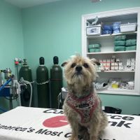 Central Monmouth Animal Hospital : Neil Bloom DVM ico