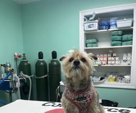 Central Monmouth Animal Hospital : Neil Bloom DVM