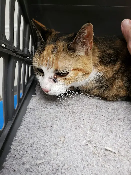 Central Monmouth Animal Hospital : Neil Bloom DVM Picture 5