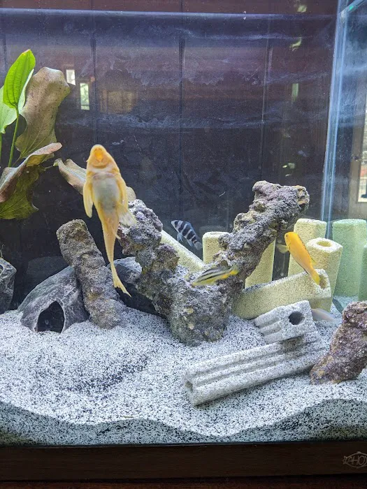Imperial Exotics Picture 1