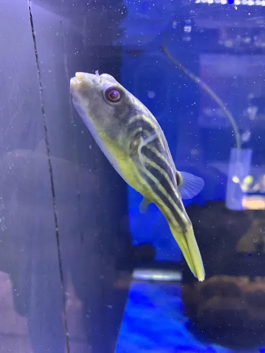 Imperial Exotics Picture 4