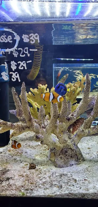 Imperial Exotics Picture 9