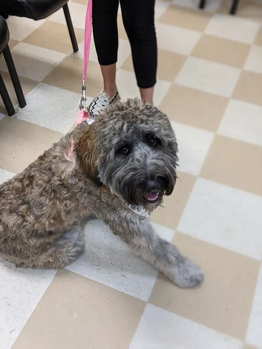 Central Jersey Animal Hospital Picture 2