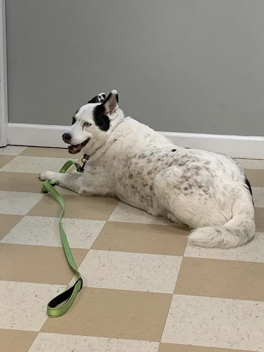 Central Jersey Animal Hospital Picture 1