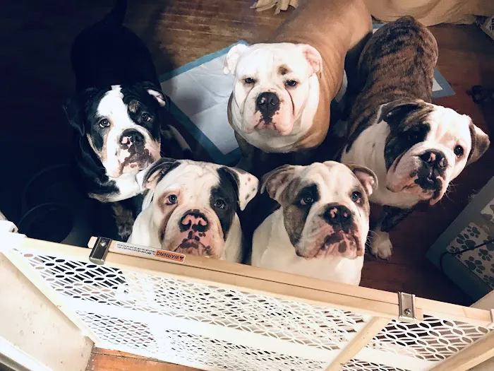 Central Jersey Animal Hospital Picture 6