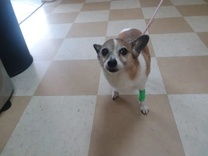 Central Jersey Animal Hospital Picture 8