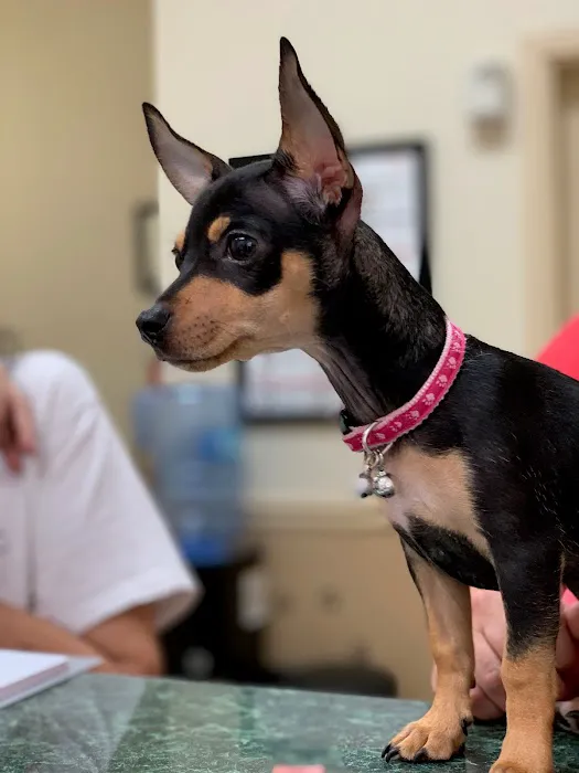 Central Jersey Animal Hospital Picture 7