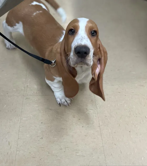 Central Jersey Animal Hospital Picture 9