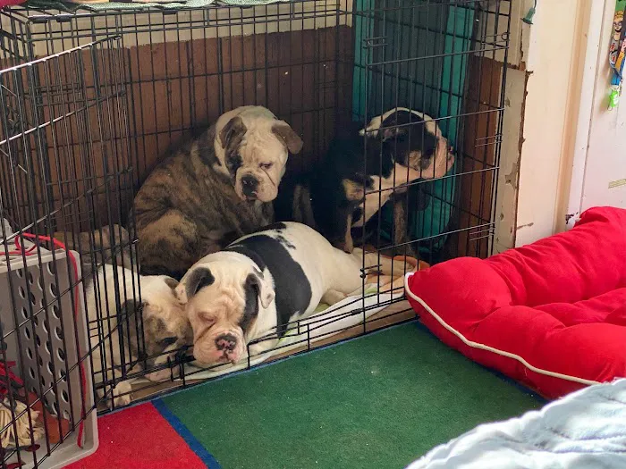 Central Jersey Animal Hospital Picture 10