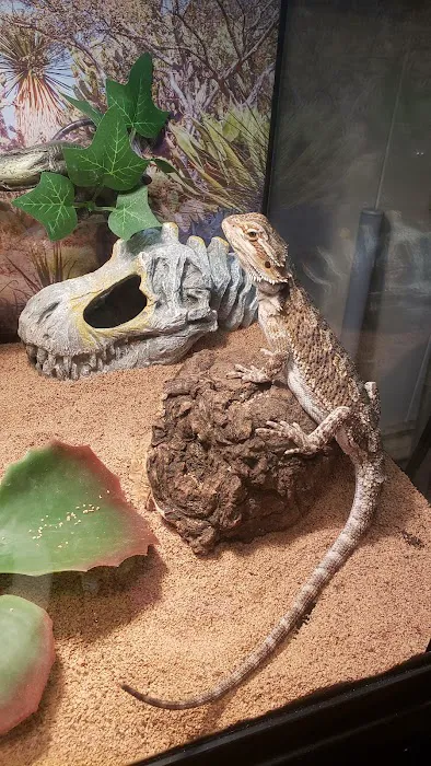 Petco Picture 1
