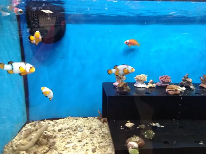Petco Picture 6