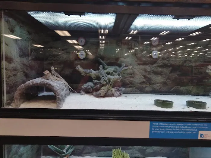 Petco Picture 5