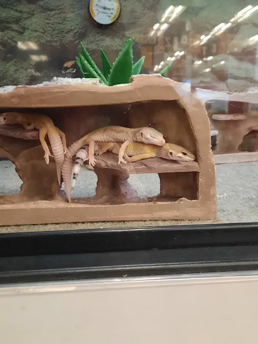 Petco Picture 9