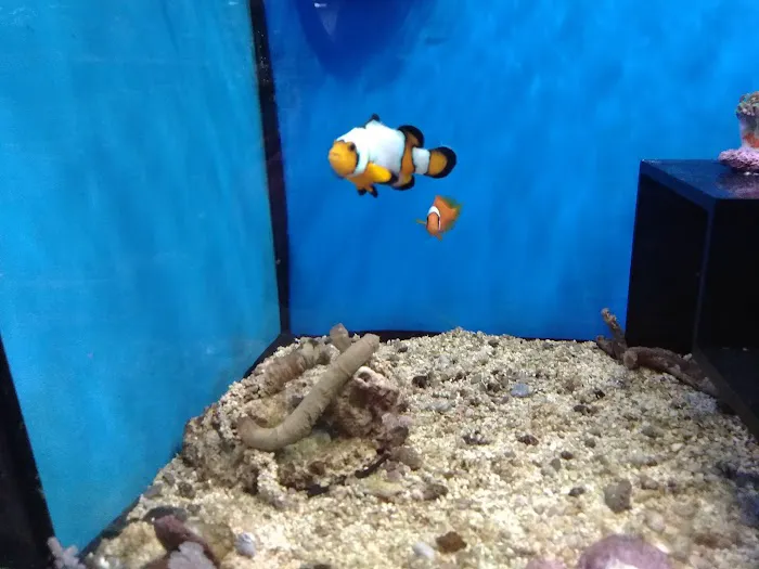 Petco Picture 10