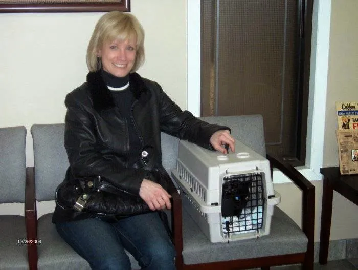 Edgebrook Animal Hospital Picture 4