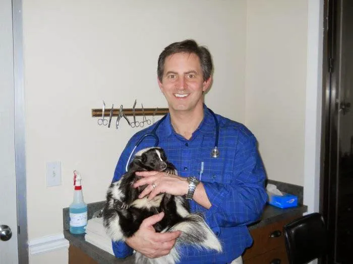 Edgebrook Animal Hospital Picture 8