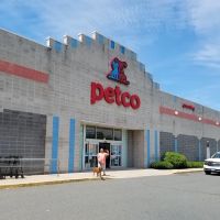 Petco ico