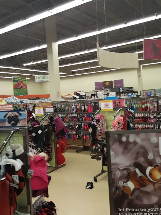 Petco Picture 3