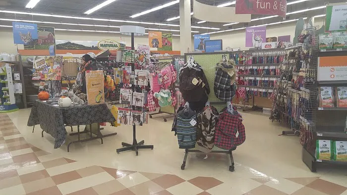 Petco Picture 5