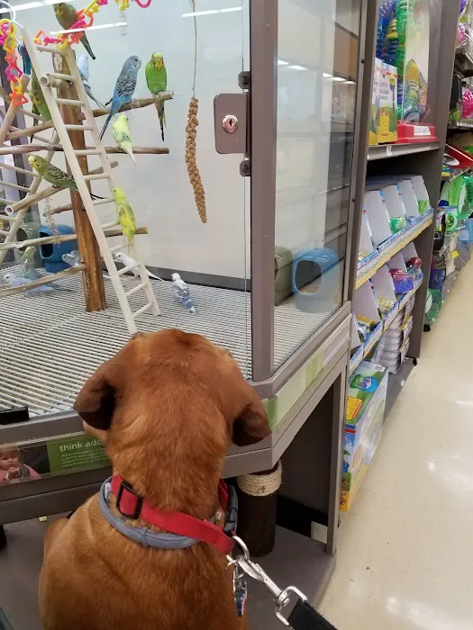 Petco Picture 4