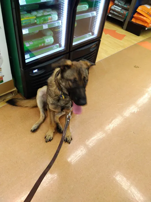 Petco Picture 7