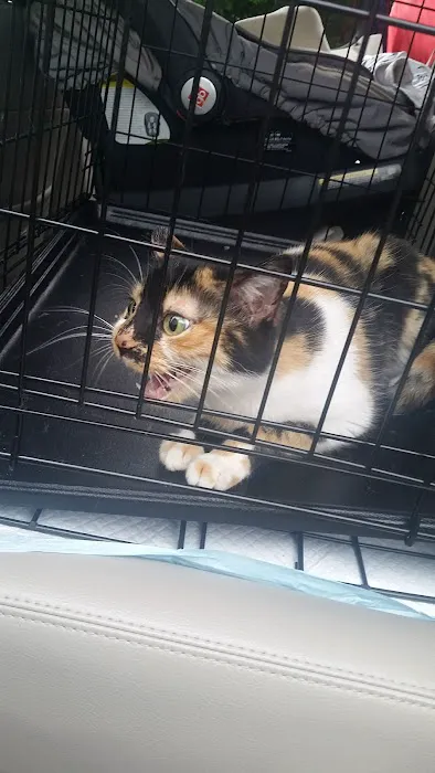 Exeter Animal Hospital Picture 1