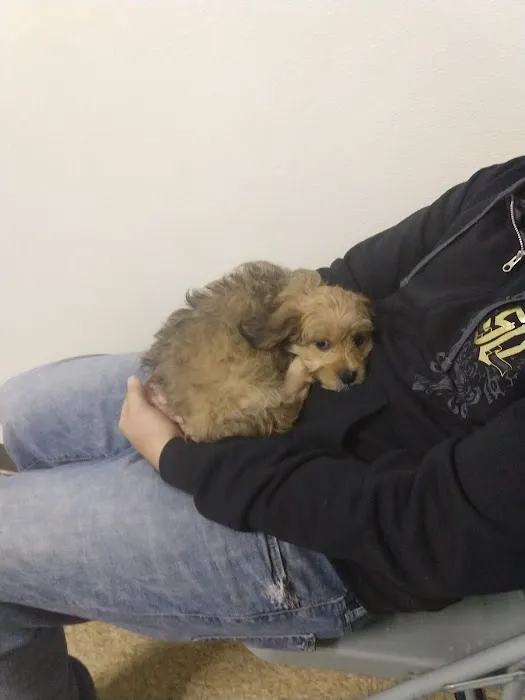 Exeter Animal Hospital Picture 2
