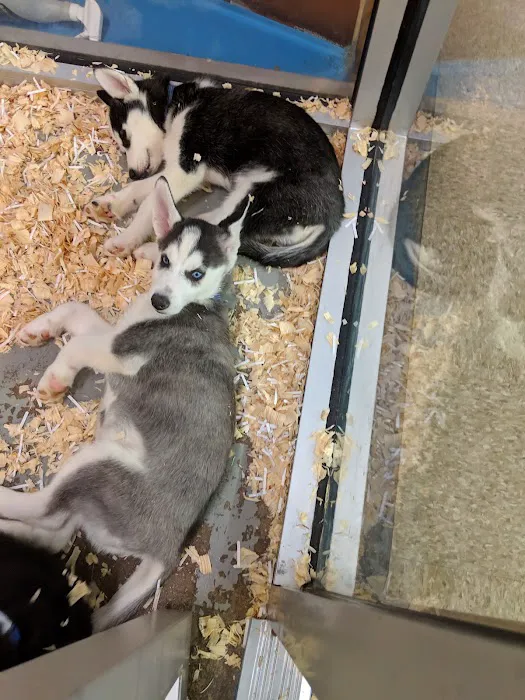 Exeter Animal Hospital Picture 5