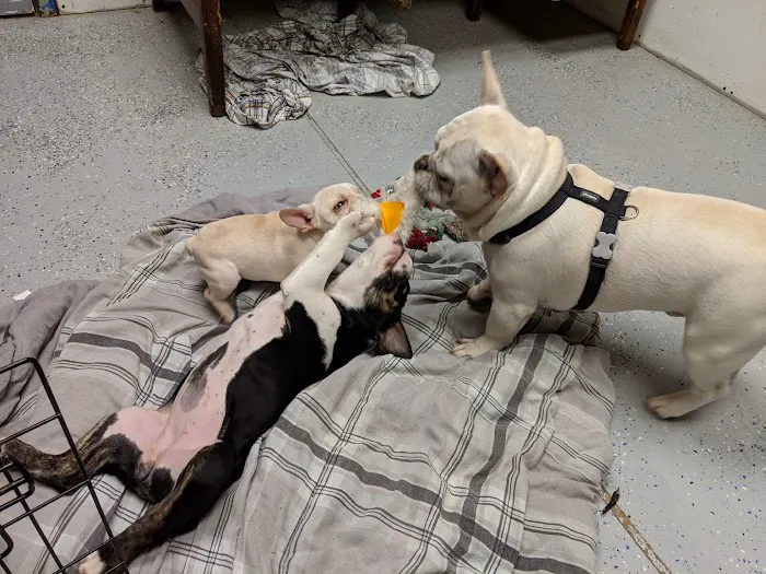 Exeter Animal Hospital Picture 6
