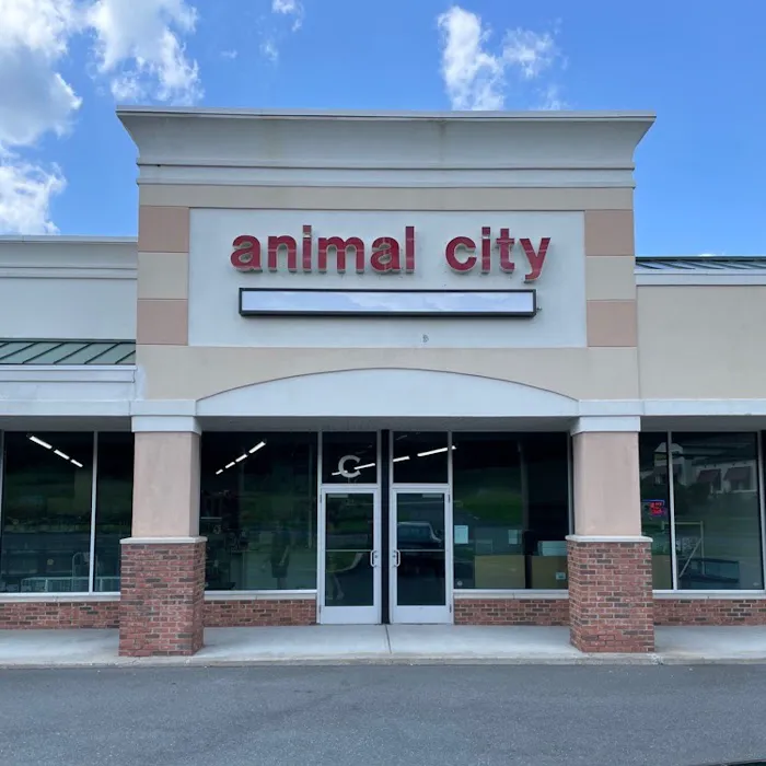 Animal City Picture 1