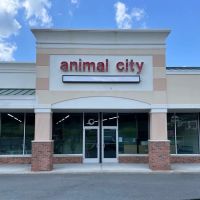 Animal City ico