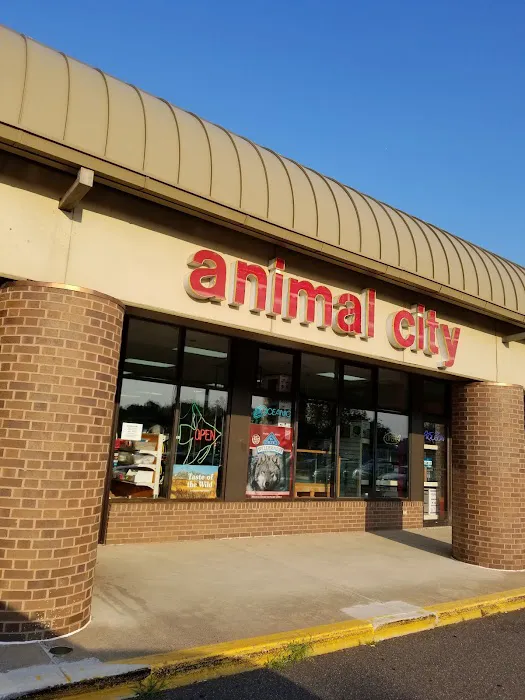 Animal City Picture 3