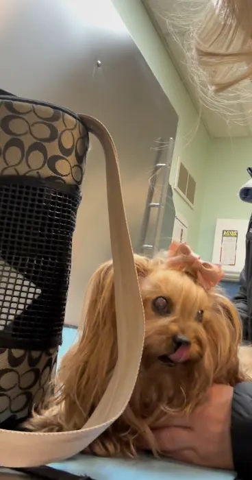 Exeter Veterinary Hospital Picture 5