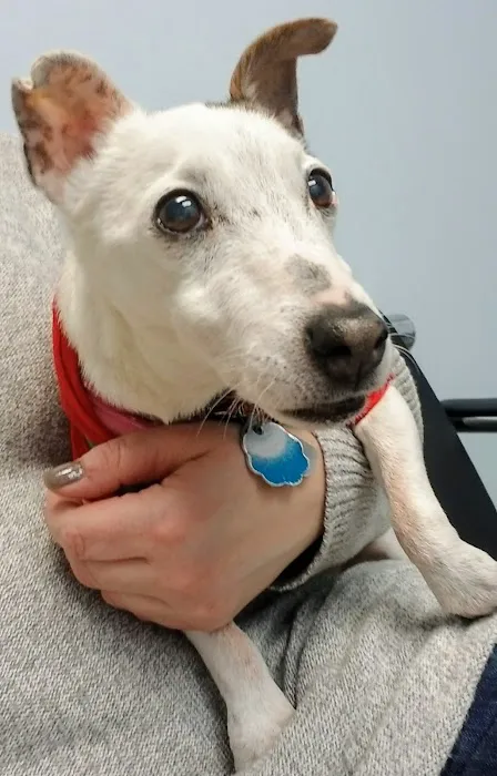 Exeter Veterinary Hospital Picture 7