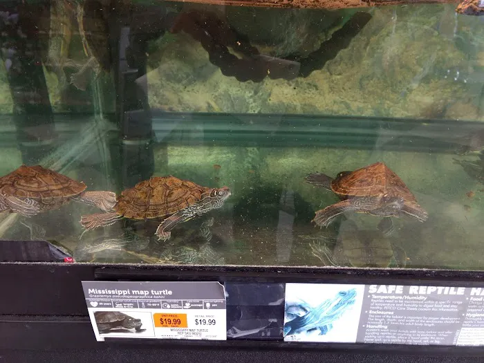 Petco Picture 4