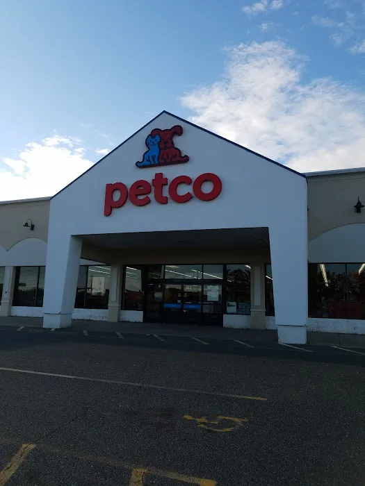 Petco Picture 3