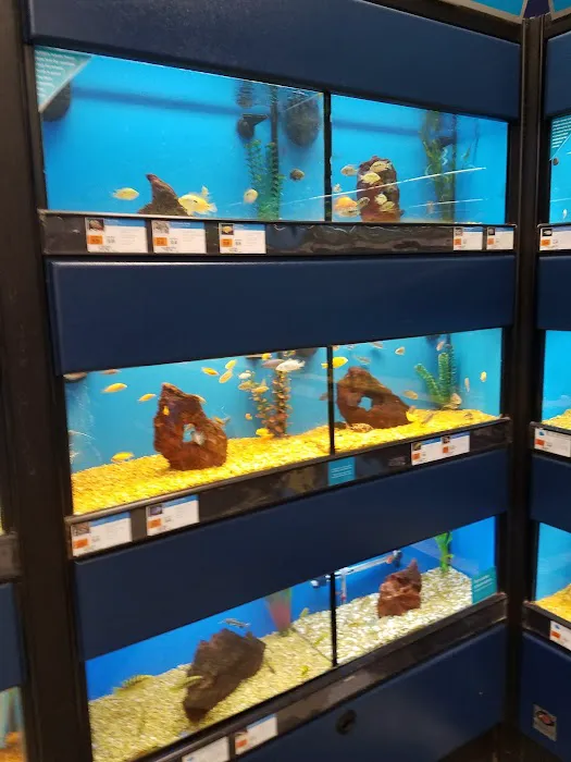 Petco Picture 2