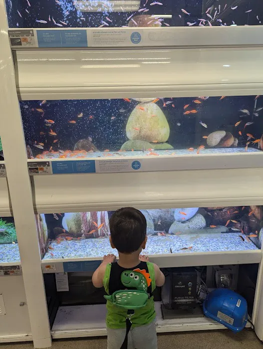 Petco Picture 7