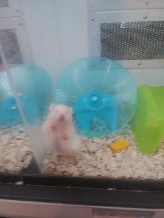 Petco Picture 5
