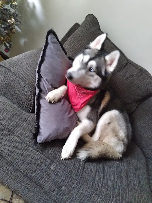 Petco Picture 6