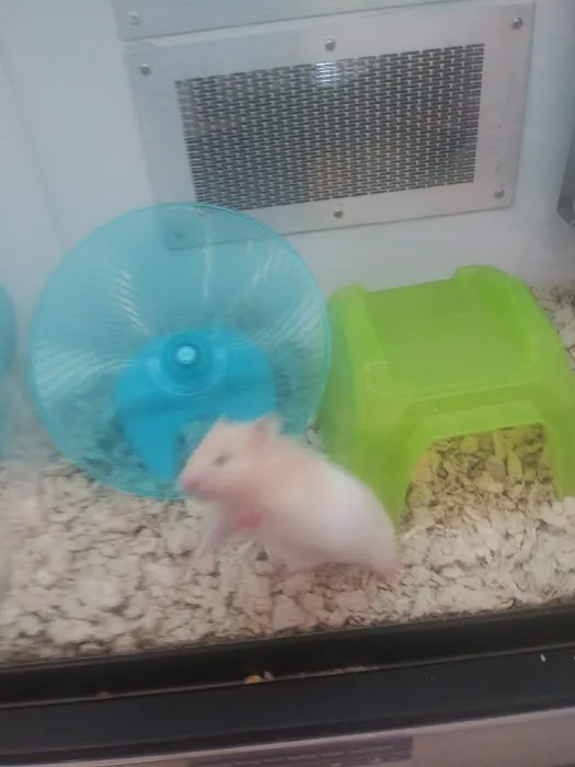 Petco Picture 9