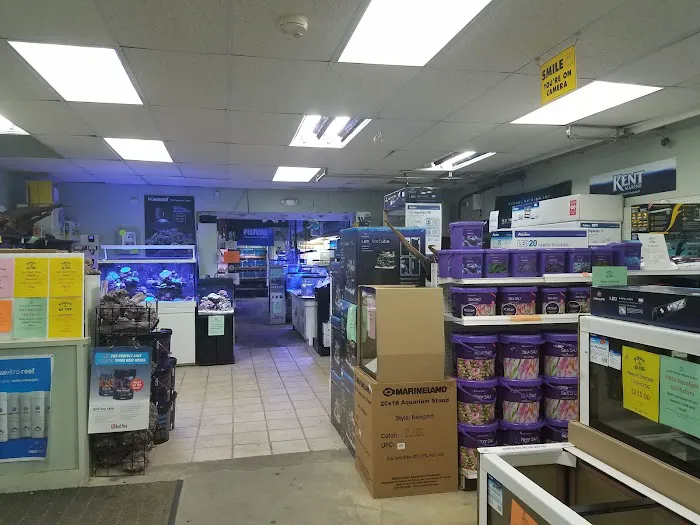 School Of Fish Picture 6