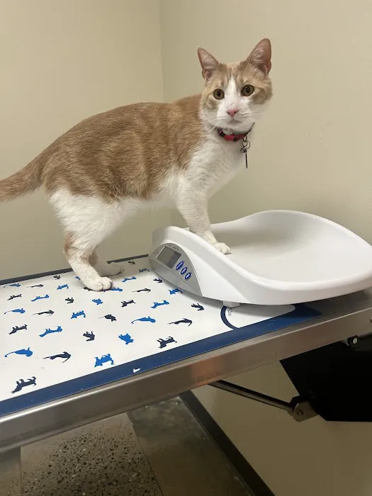 Vetco Total Care Animal Hospital Picture 1