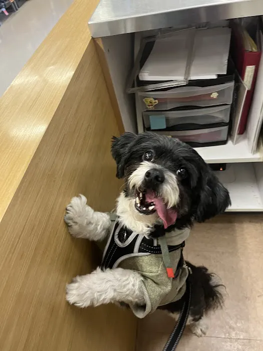 Vetco Total Care Animal Hospital Picture 4