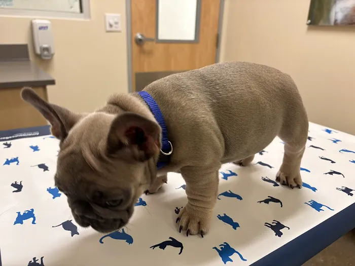 Vetco Total Care Animal Hospital Picture 5